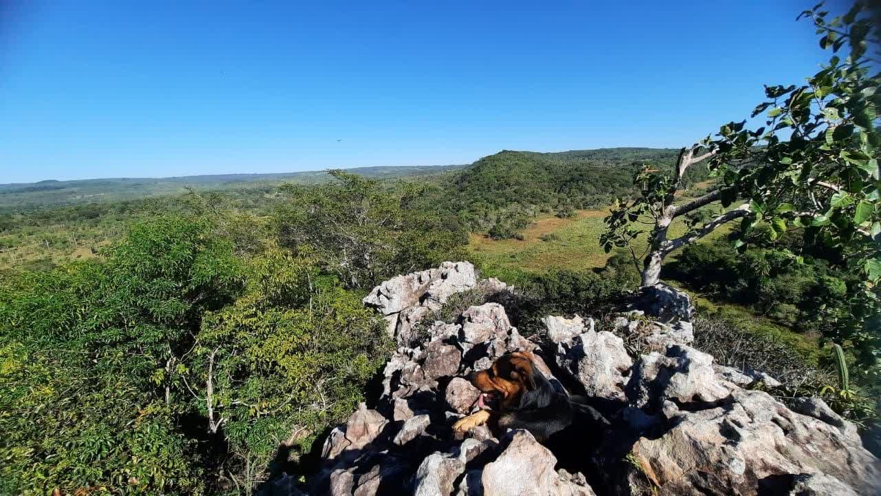 Aussicht oben vom Berg – 