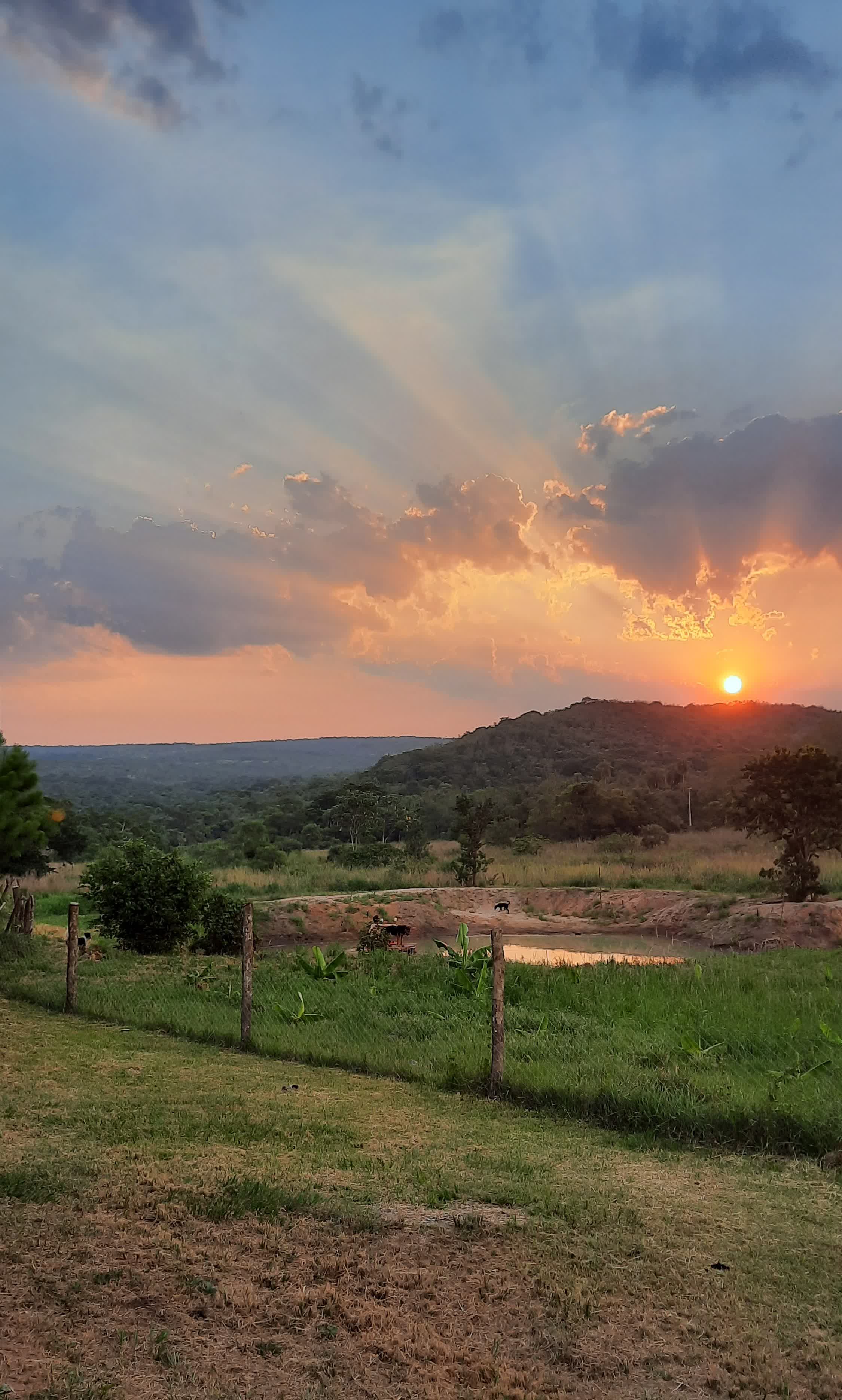 Traumhafte Sonnenuntergänge – 