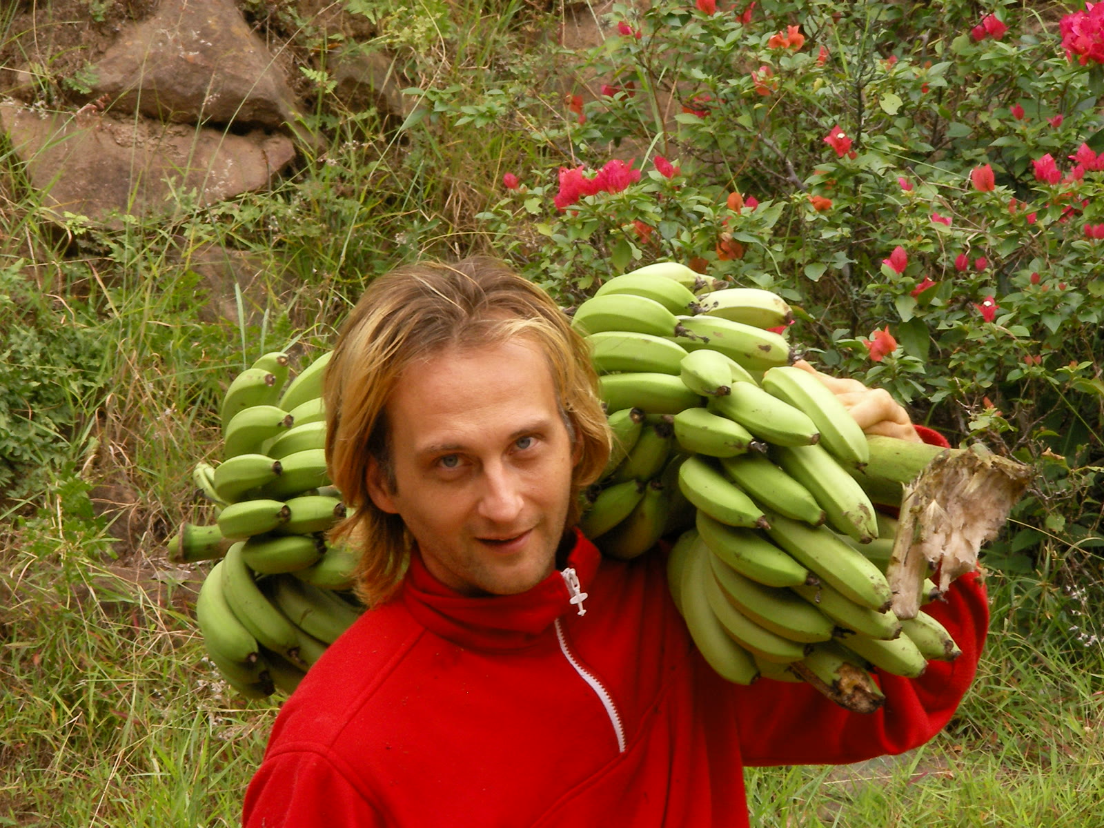 Bananenbäume auf Felicitas