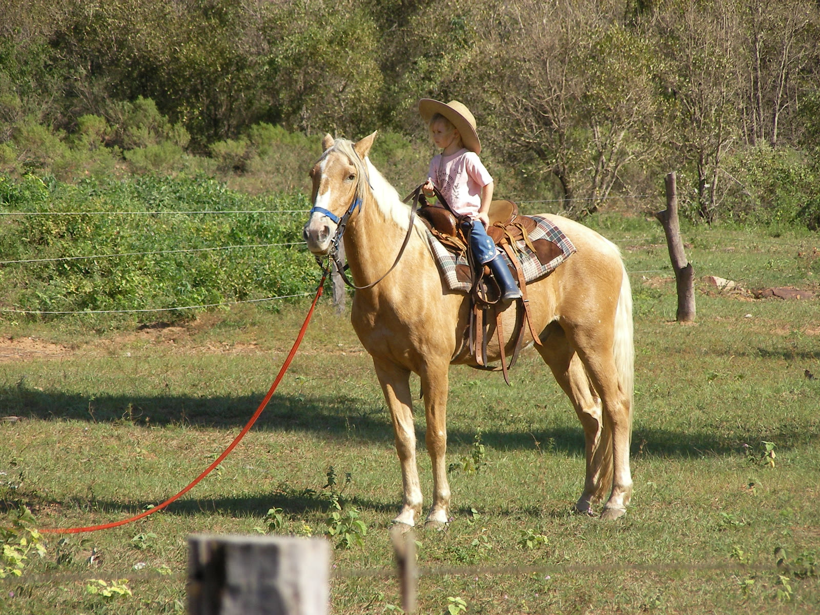 Reiten auf Felicitas